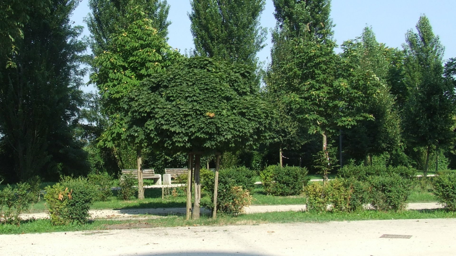 Immagine di Individuato e arrestato il secondo rapinatore delle Colonie Padane