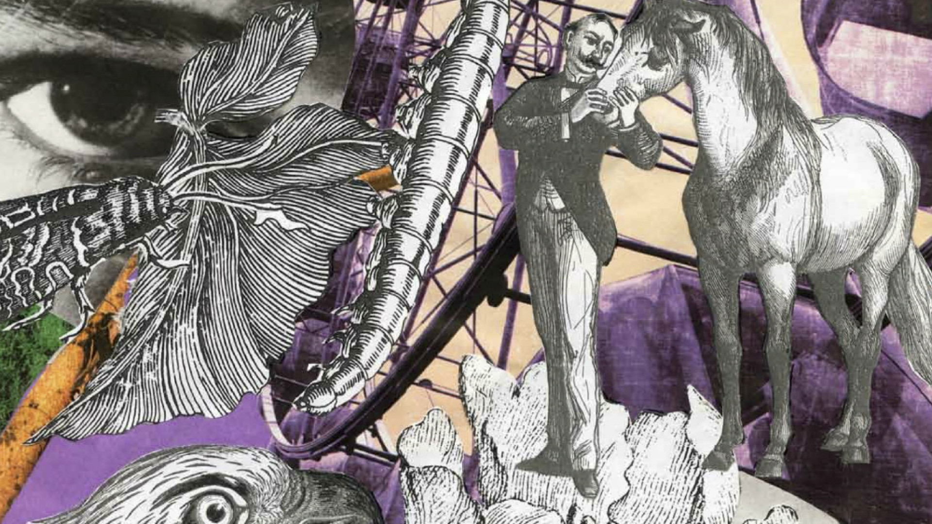 Immagine di Casalmaggiore, in mostra sino al 30 marzo trenta collages realizzati da Chitolina: «Non è arte ma una ricerca estetica»