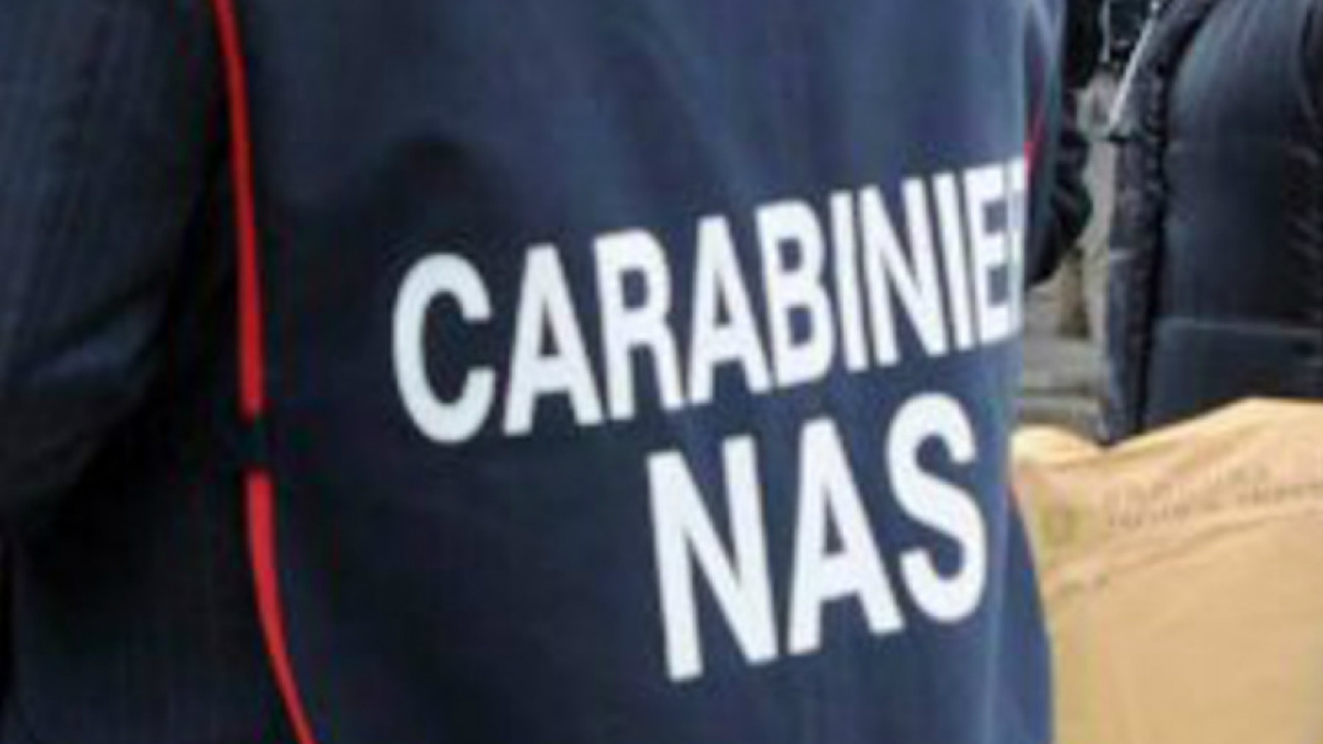 Immagine di Cremona, carne di cavallo nei tortellini Verifiche del Nas nei supermercati La pasta prodotta nel trevigiano