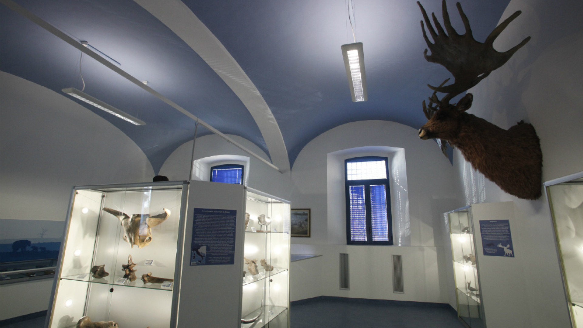 Immagine di Tagli, in agonia i musei dei piccoli paesi: il caso San Daniele Po