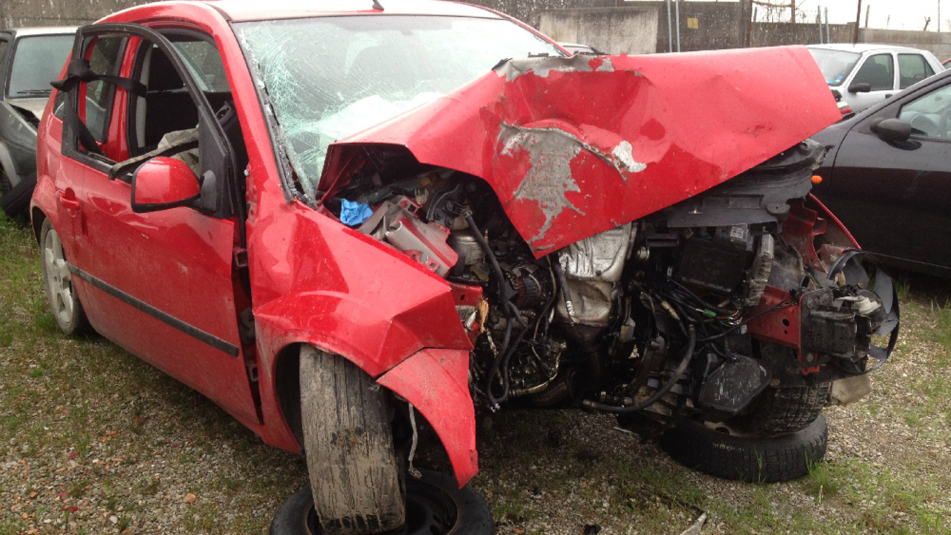 Immagine di Tragico incidente a Gussola, perde la vita studentessa 17enne