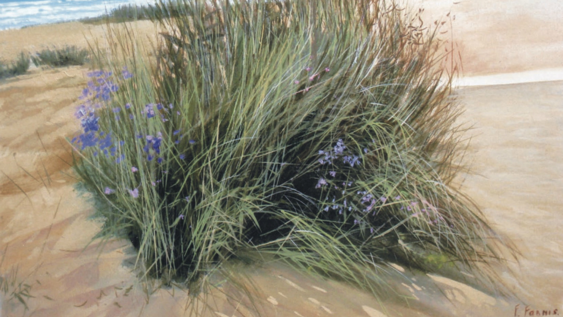 Immagine di Formis espone a Cremonabooks dal 6 al 21 aprile: il tema è la natura