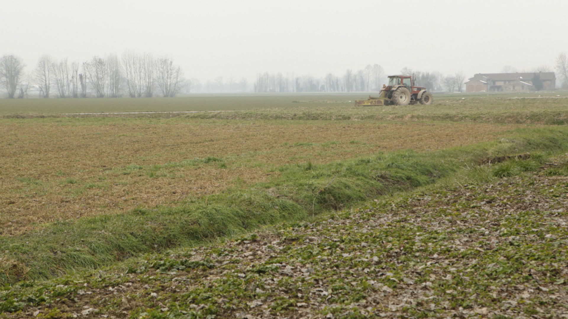 Immagine di Alloni (Pd): «Stop al consumo di suolo Il terreno agricolo diventi bene comune»