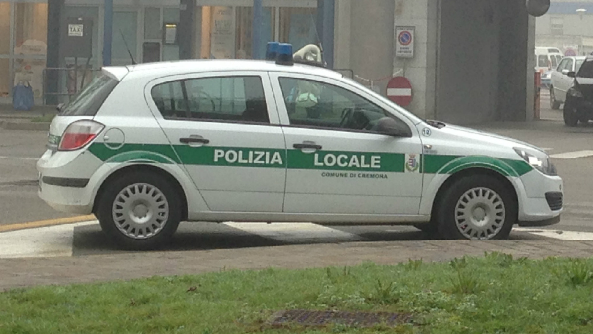 Immagine di Cane investito e morto in via Matteotti: padrona 39enne sotto choc