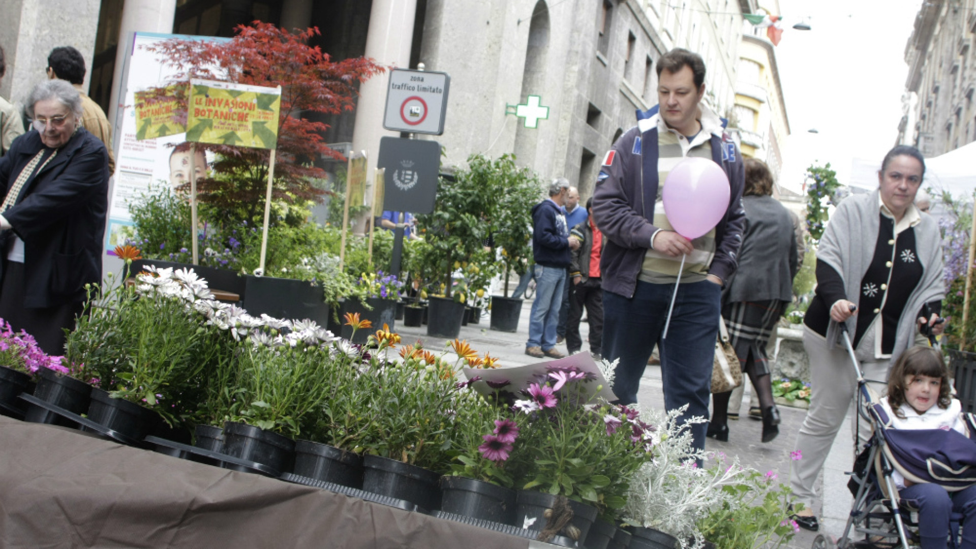 Immagine di Invasioni botaniche, a Cremona un successo nonostante la pioggia