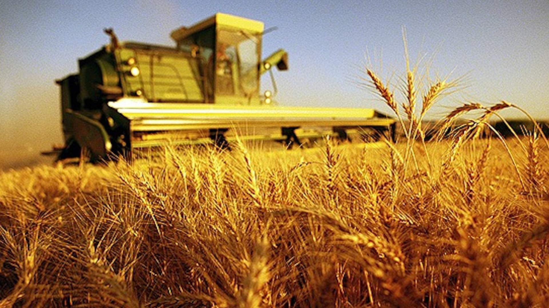 Immagine di Lombardia, assunto lo stato di crisi in agricoltura. Malvezzi (Pdl): «Un passaggio formale importante»