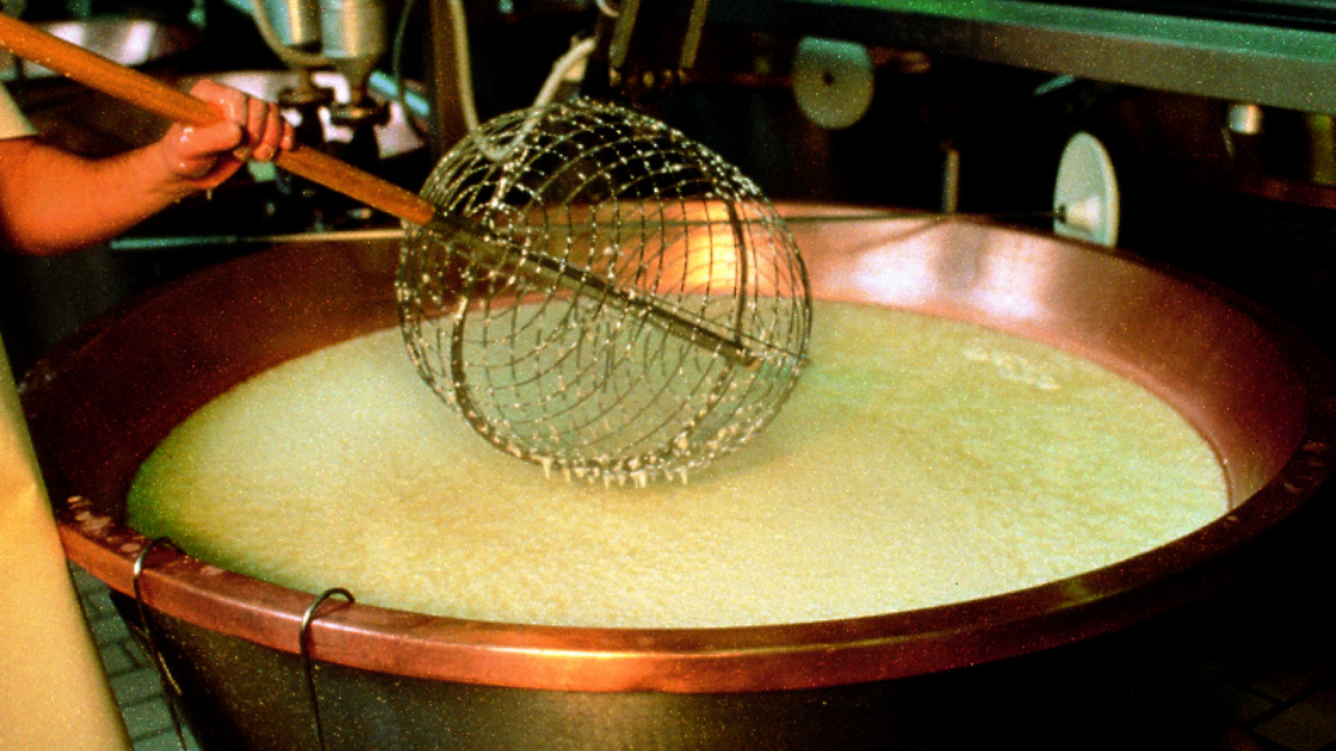 Immagine di Economia regionale col fiato corto, ma Cremona resiste grazie all'agroalimentare