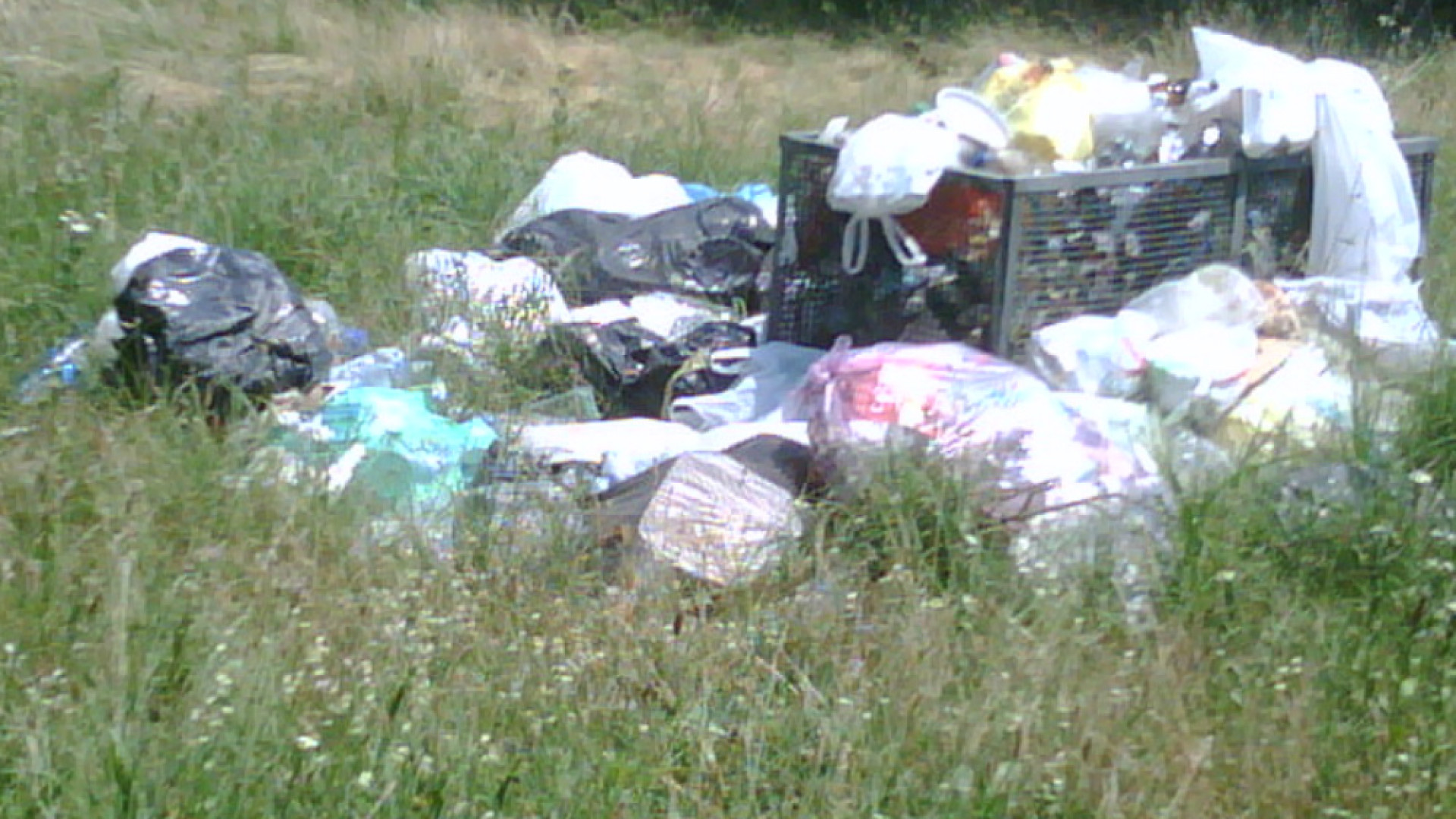 Immagine di Rifiuti abbandonati a Crotta d'Adda Torchio: "Manca la manutenzione"