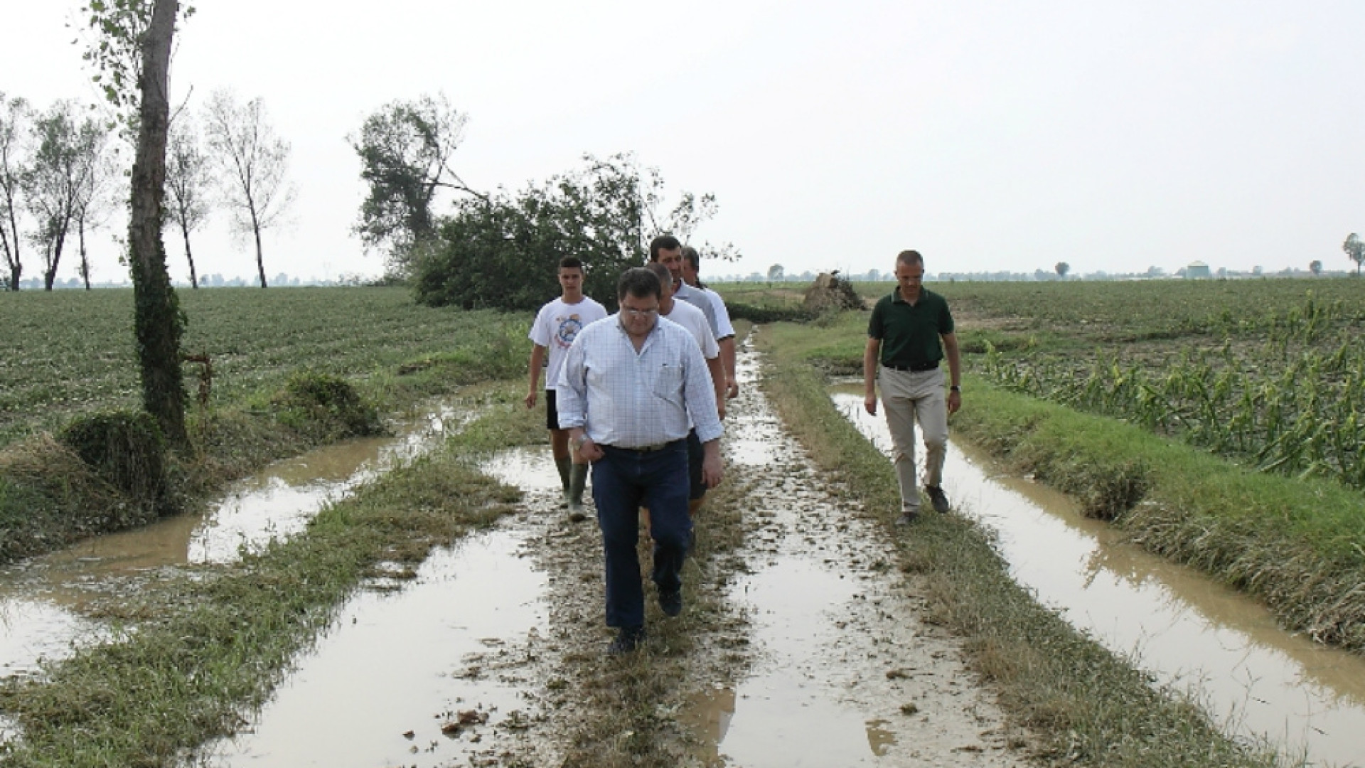Immagine di Danni in agricoltura, la Regione chiederà lo stato di calamità
