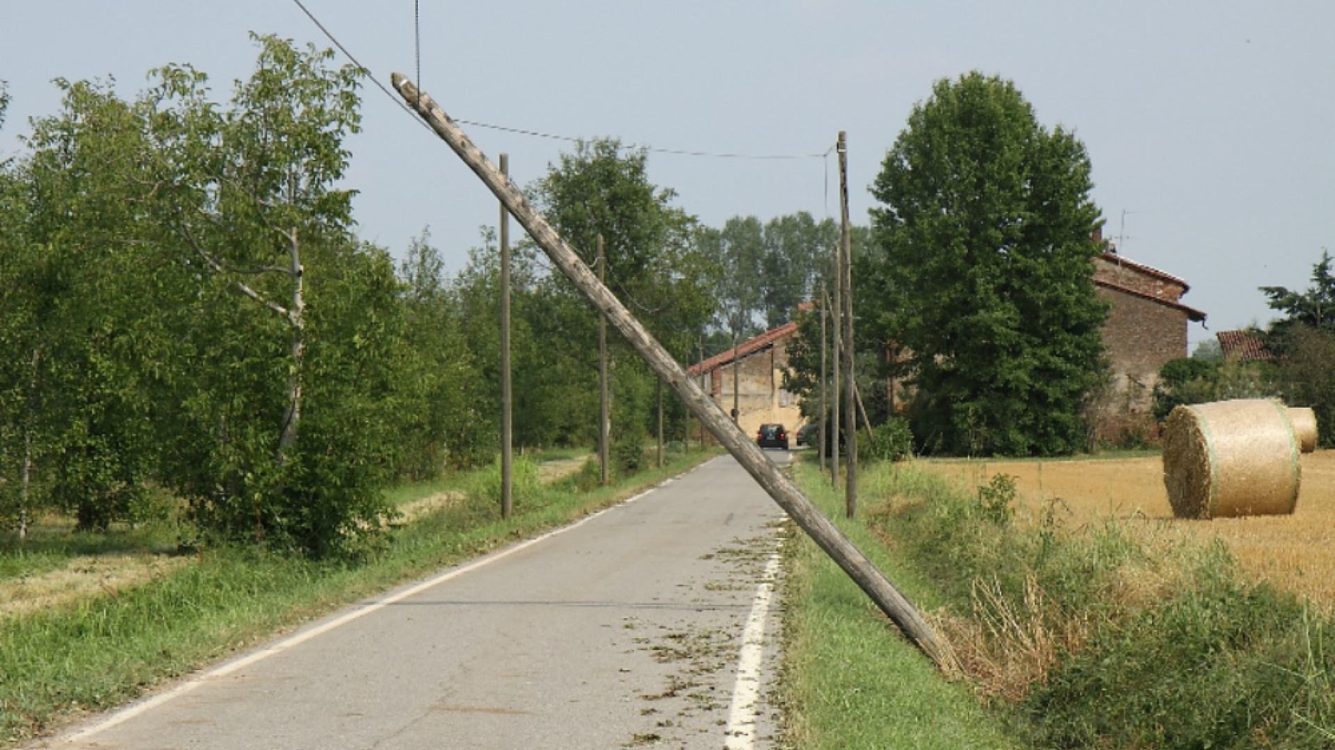 Immagine di Agricoltura, Fava: risposte immediate alle aziende  per i danni causati dal maltempo