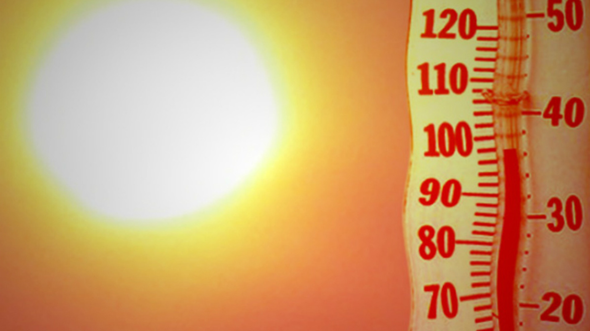 Immagine di Dopo il maltempo agricoltura in allarme per l'ondata di caldo eccezionale