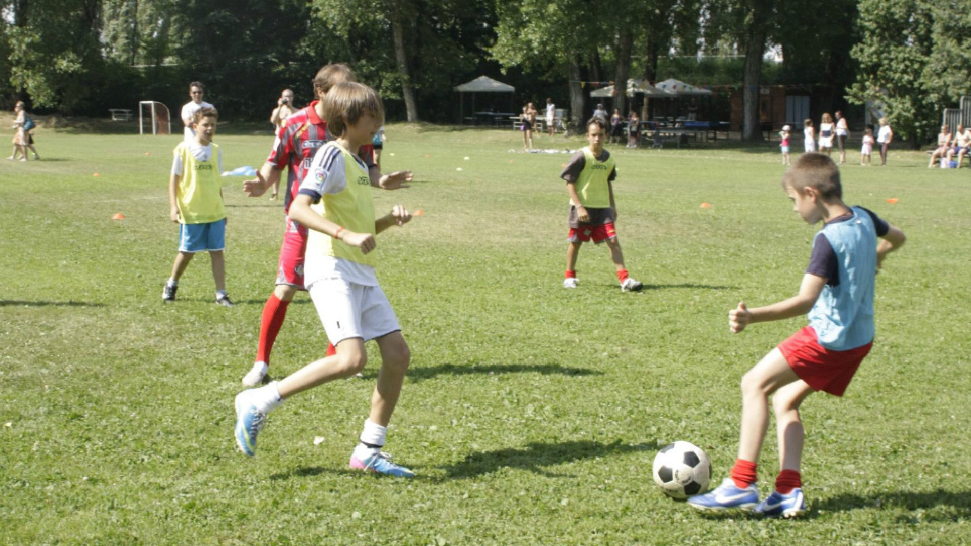 Immagine di Coni e Ufficio Scolastico collaborano per la crescita di tecnici e dirigenti Cremona 43esima in Italia per sportività