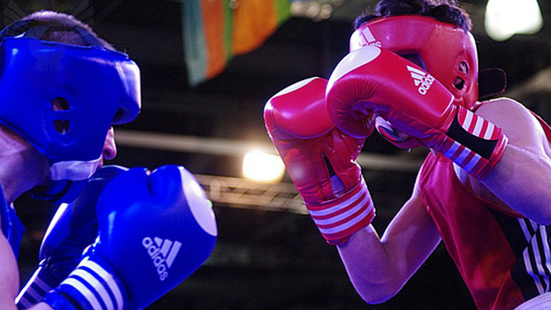 Immagine di Boxe Cremona doppio appuntamento a Ovada e Carpi