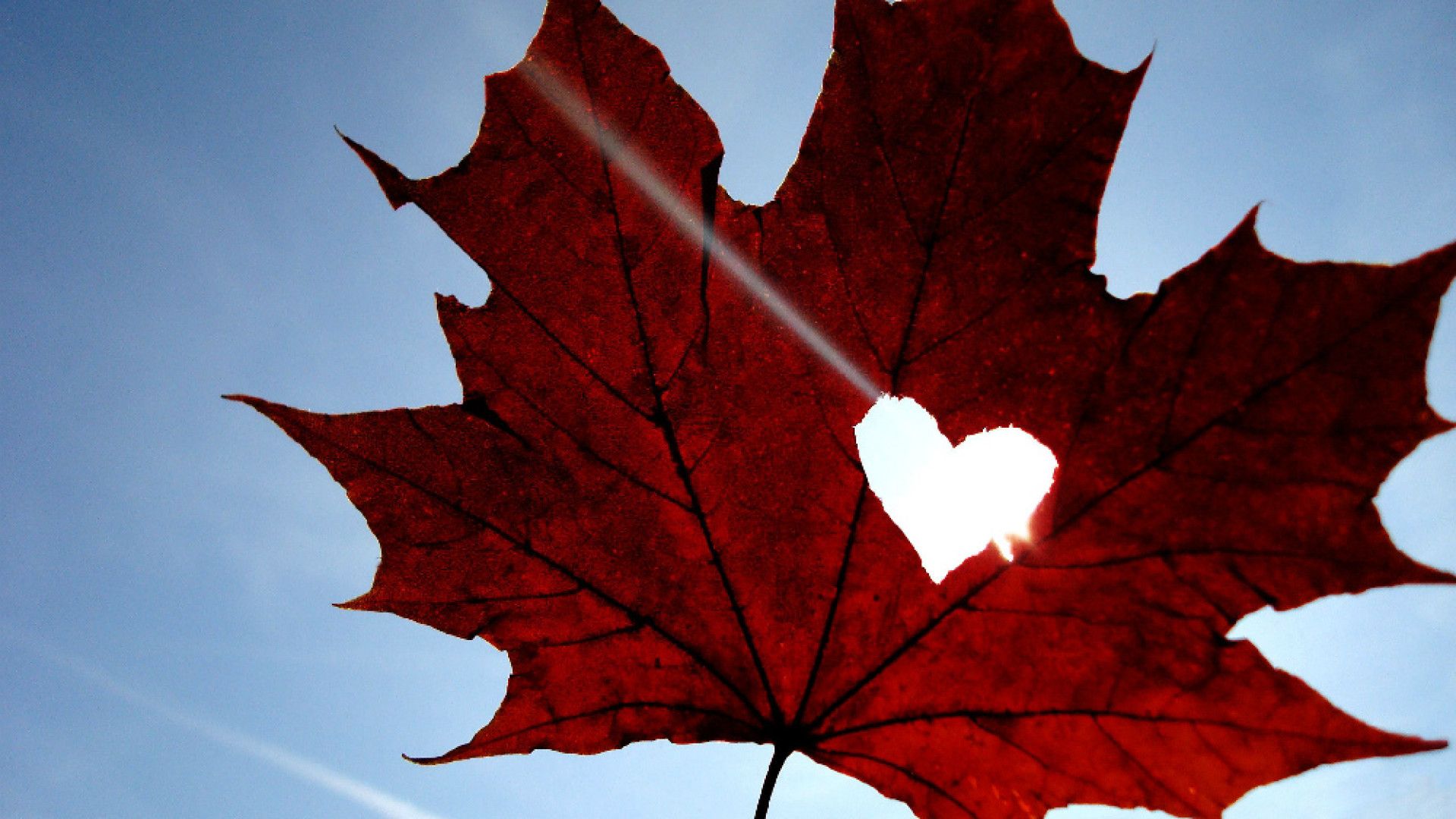 Immagine di Te lo dico col cuore
