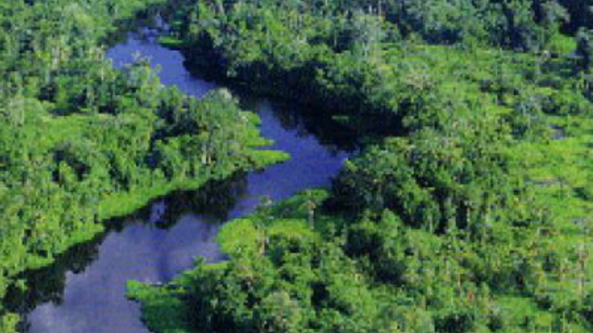 Immagine di Martedì a Crema si visita l'Amazzonia con il ciclo di videoproiezioni "Viaggio attraverso le immagini"