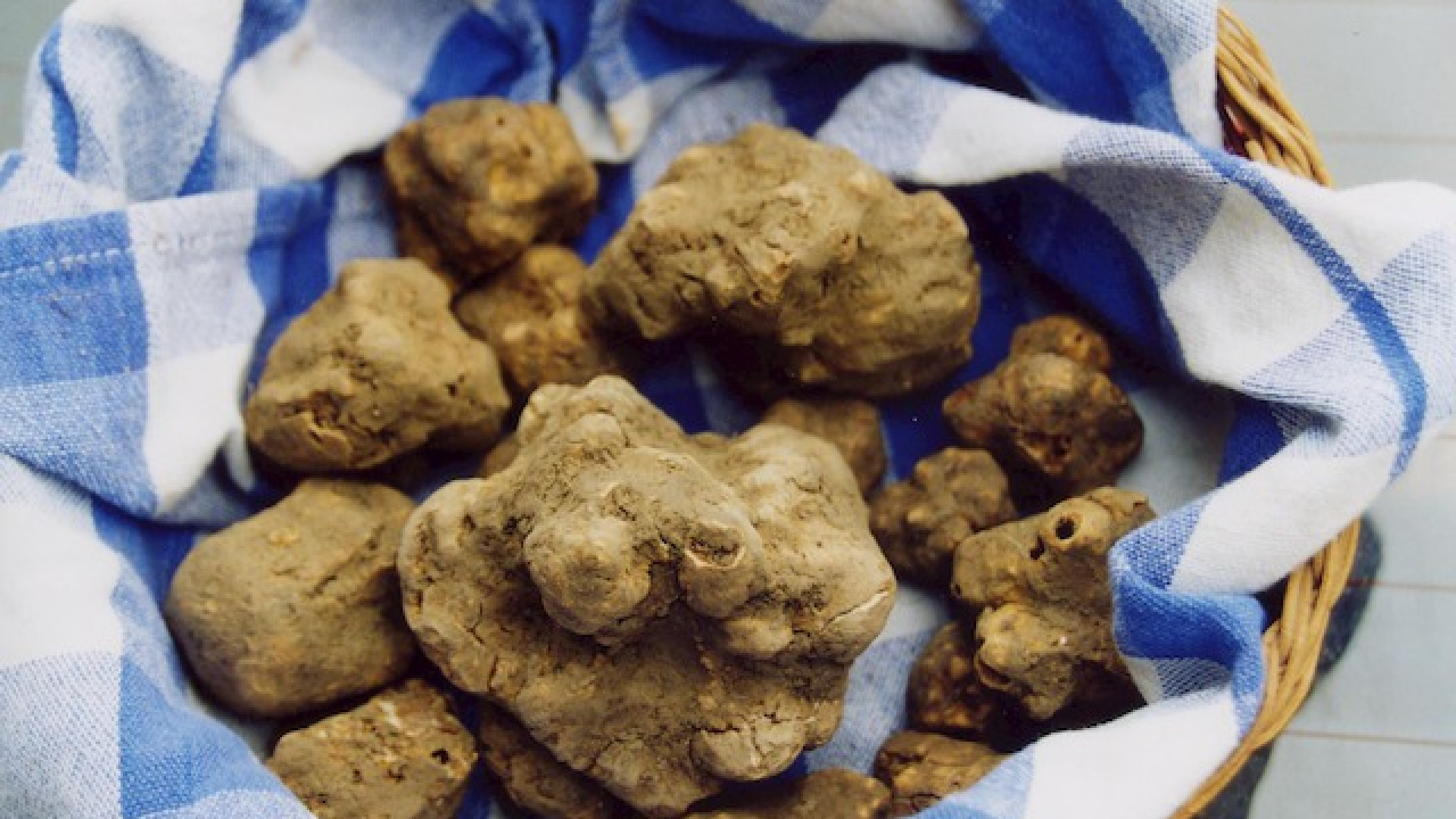 Immagine di Un tartufo da bijou