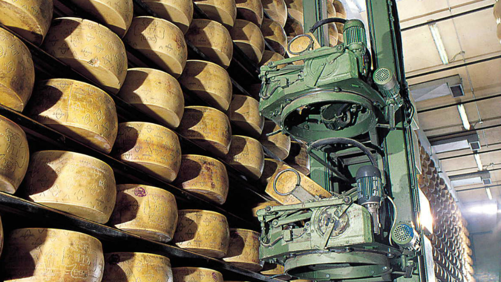 Immagine di Alimentare avanti adagio