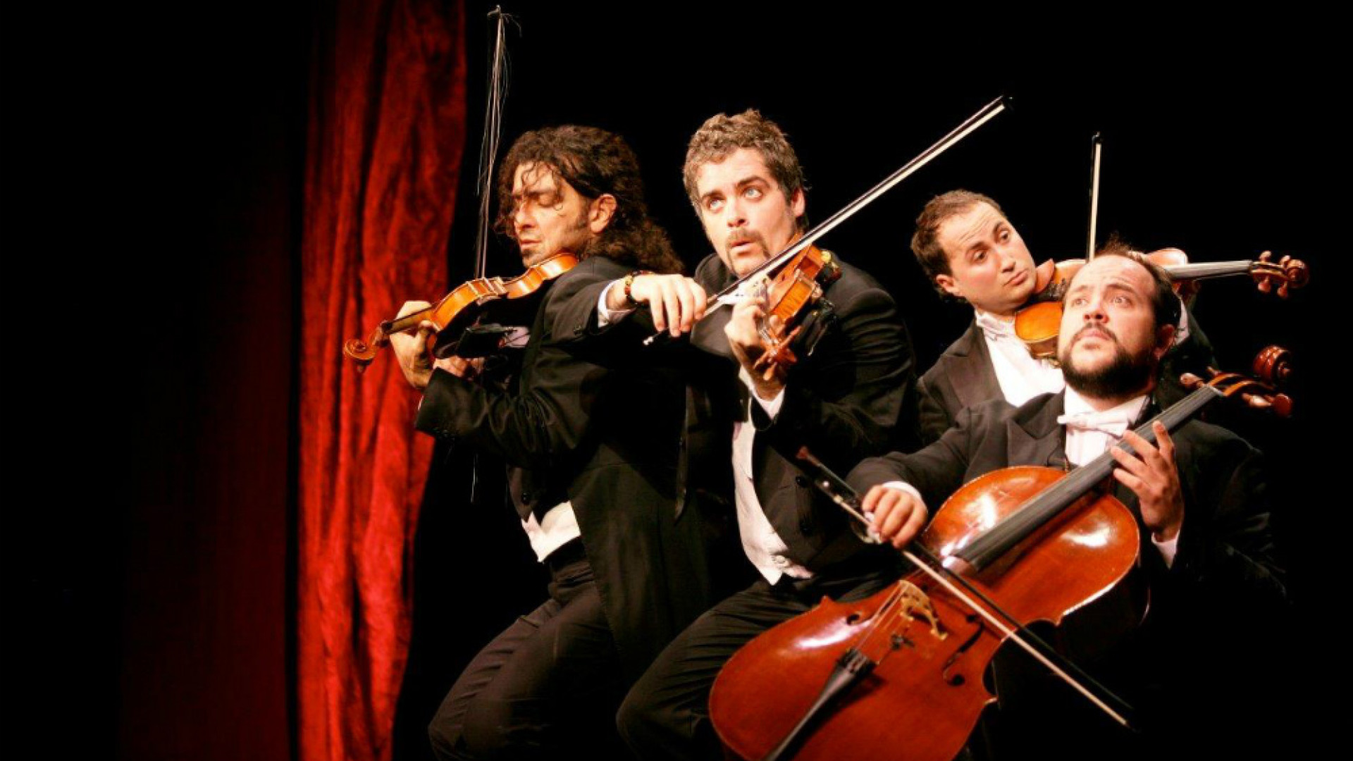 Immagine di Il quartetto "Paganini" al Ponchielli Quando la classica diventa uno show