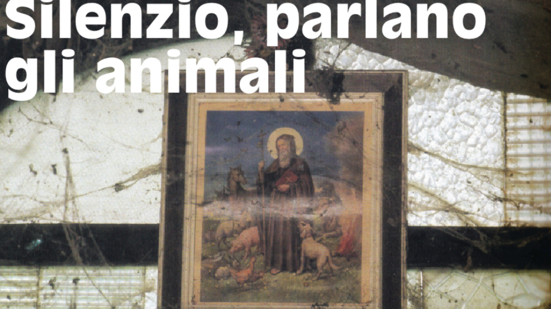 Immagine di Silenzio, parlano gli animali