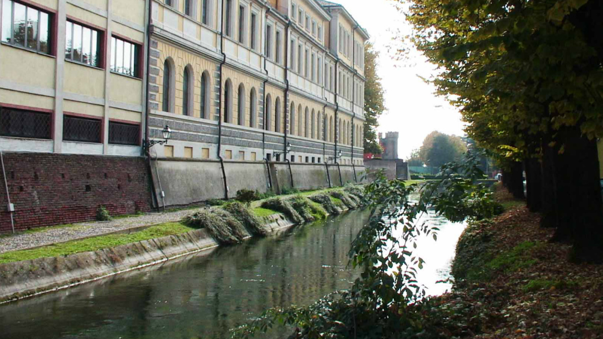 Immagine di Che tristezza quella sponda del naviglio spogliata dagli arbusti che la abbellivano