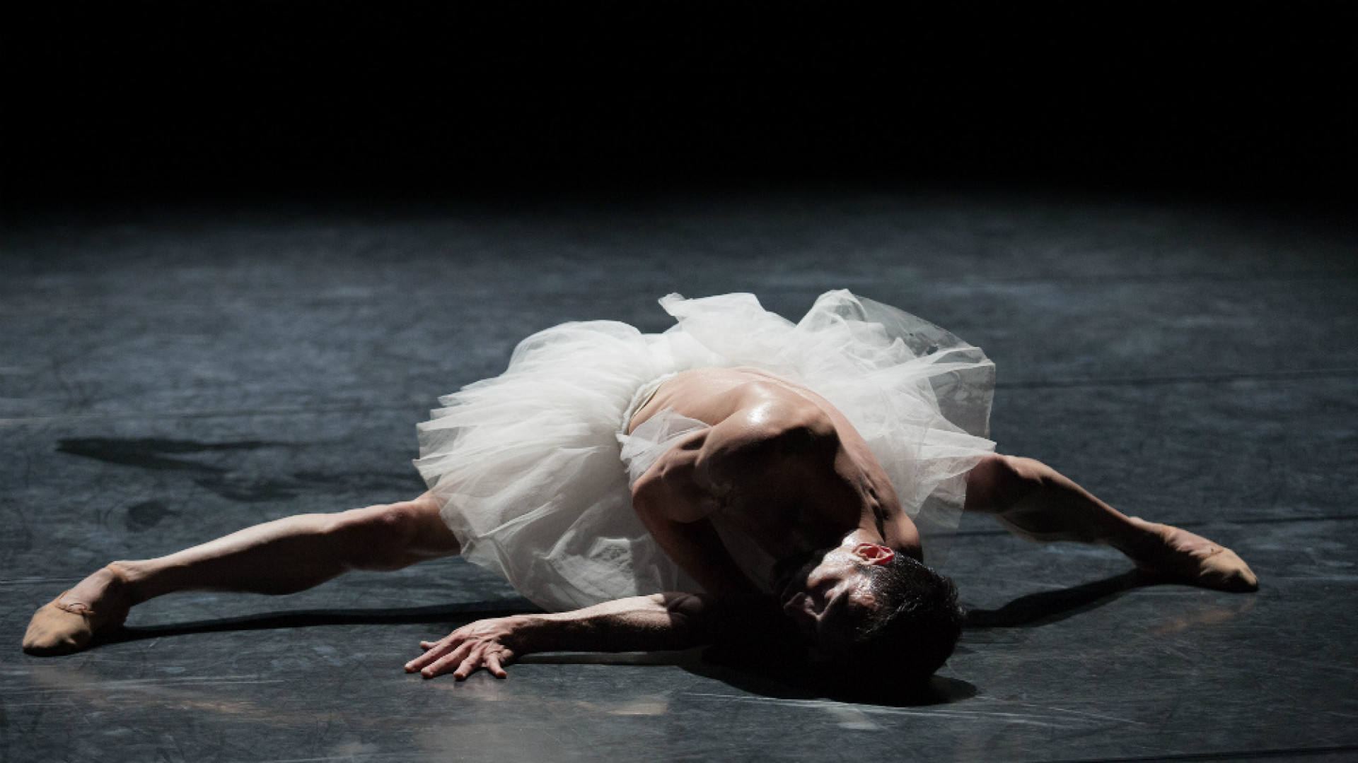 Immagine di Tre esclusive assolute per la Danza "La bella addormentata" apre la stagione