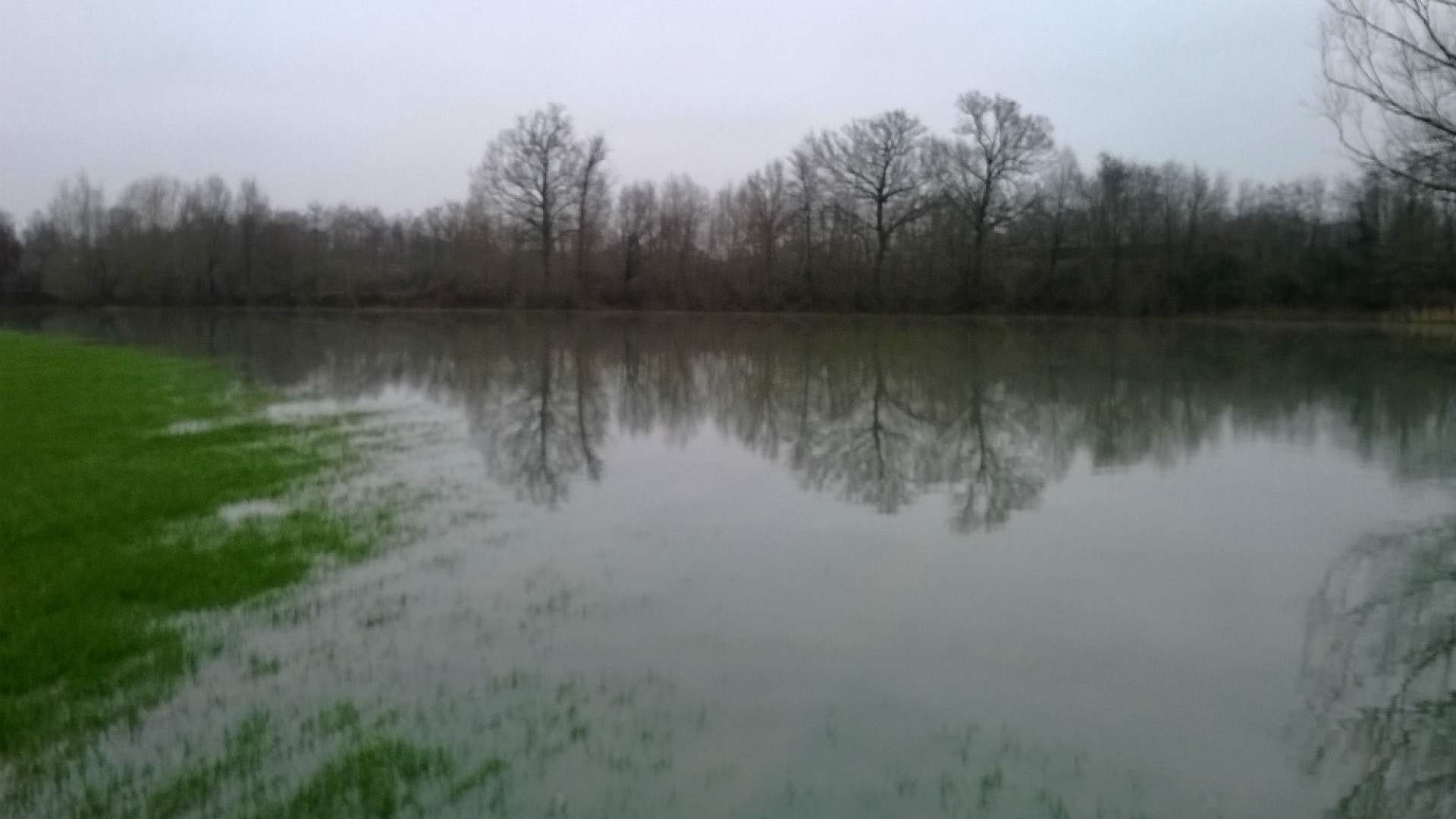 Immagine di L'Oglio esonda per la pioggia Campi allagati da Robecco a Isola Dovarese
