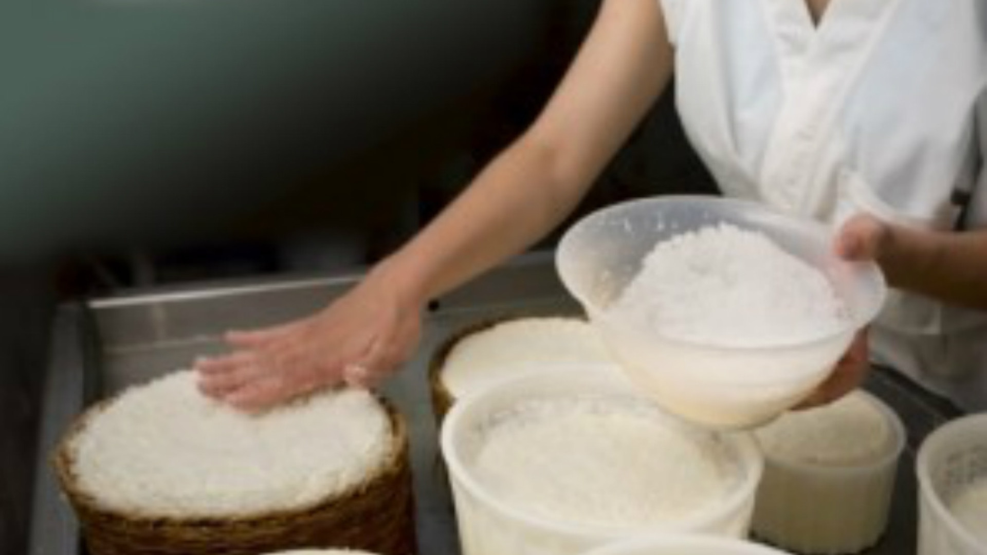 Immagine di Se fare il formaggio diventa una sfida I migliori artigiani in concorso alla scuola Casearia di Pandino