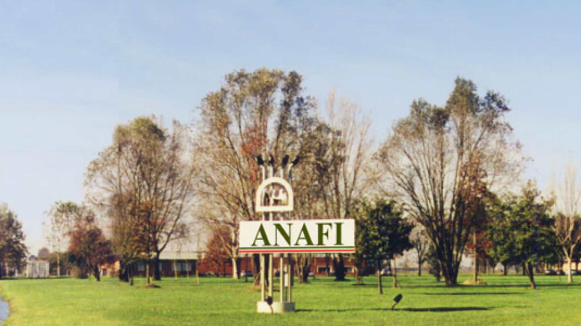 Immagine di Anafi e Lgs, schiarita in vista Si tratta per evitare la chiusura