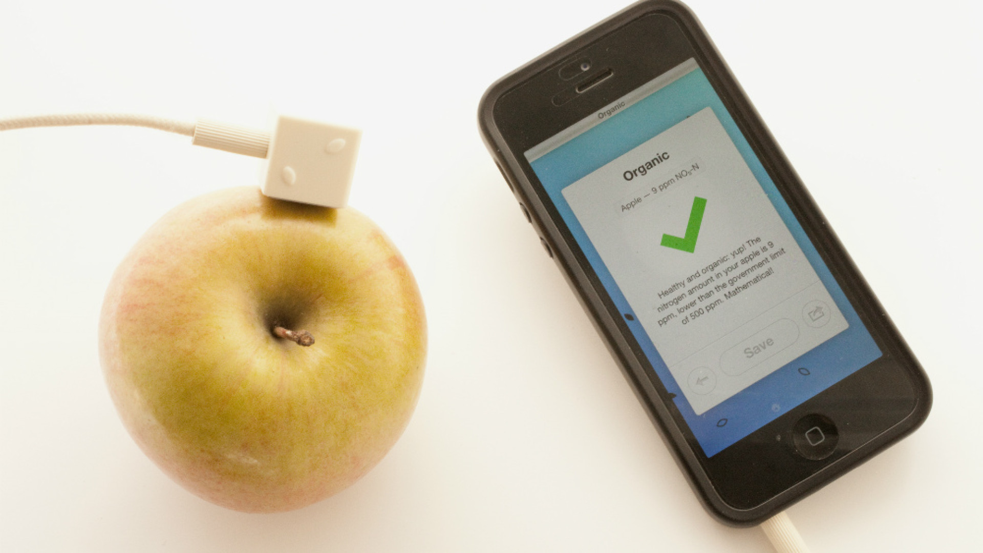 Immagine di L'App "green" testa il cibo e l'ambiente