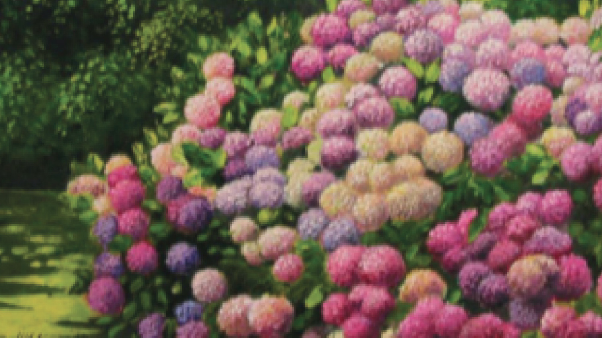 Immagine di Andar per fiori nel parco