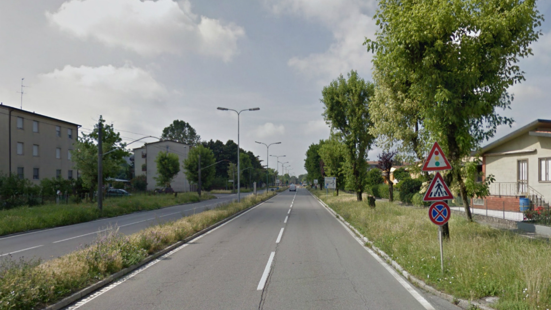 Immagine di Sessanta nuovi alberi in viale Concordia