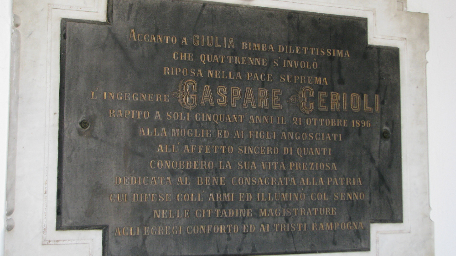 Immagine di La saga dei Cerioli, scienziati e patrioti