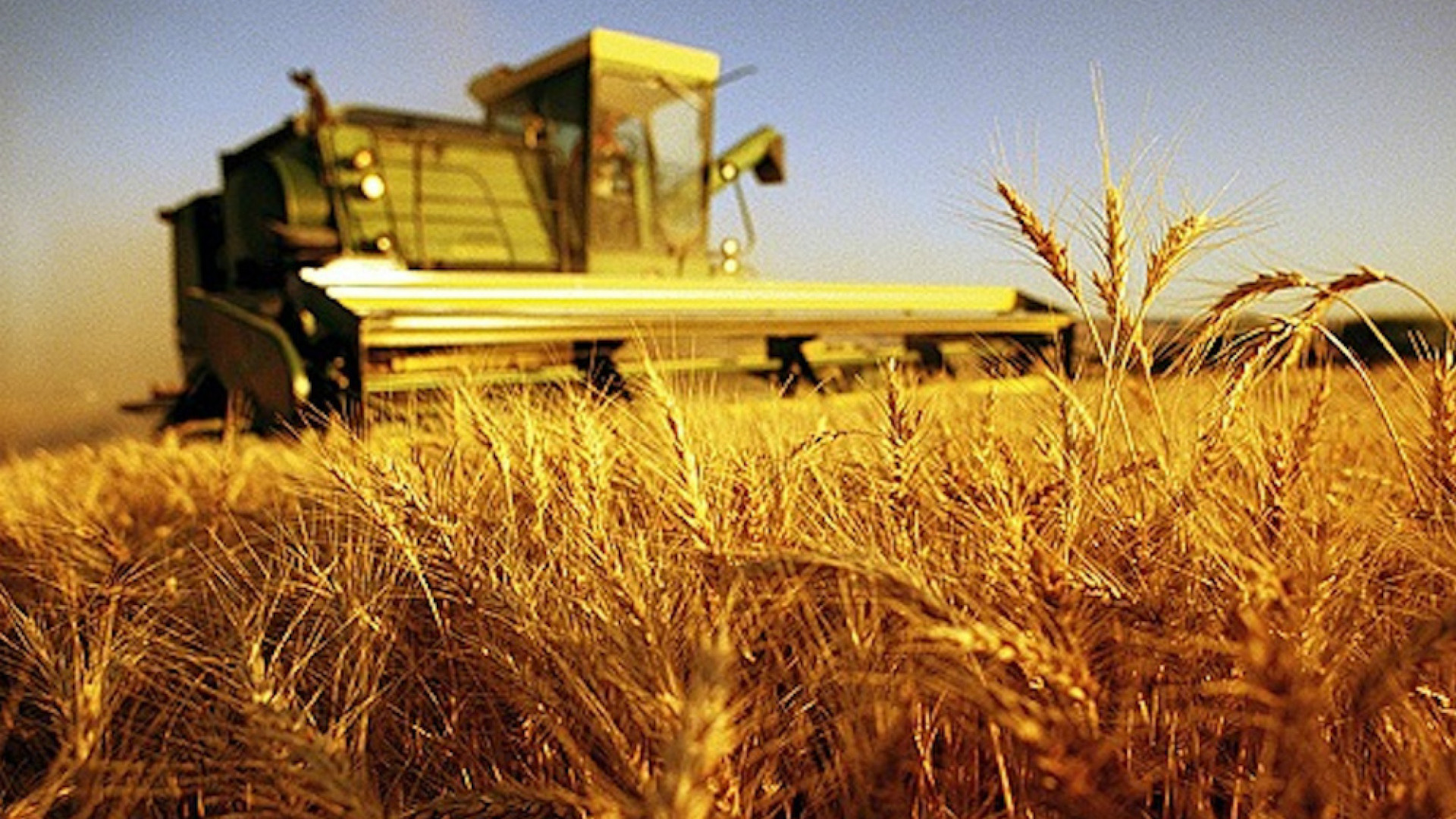 Immagine di Agricoltura, Fava: sistema informativo più semplice