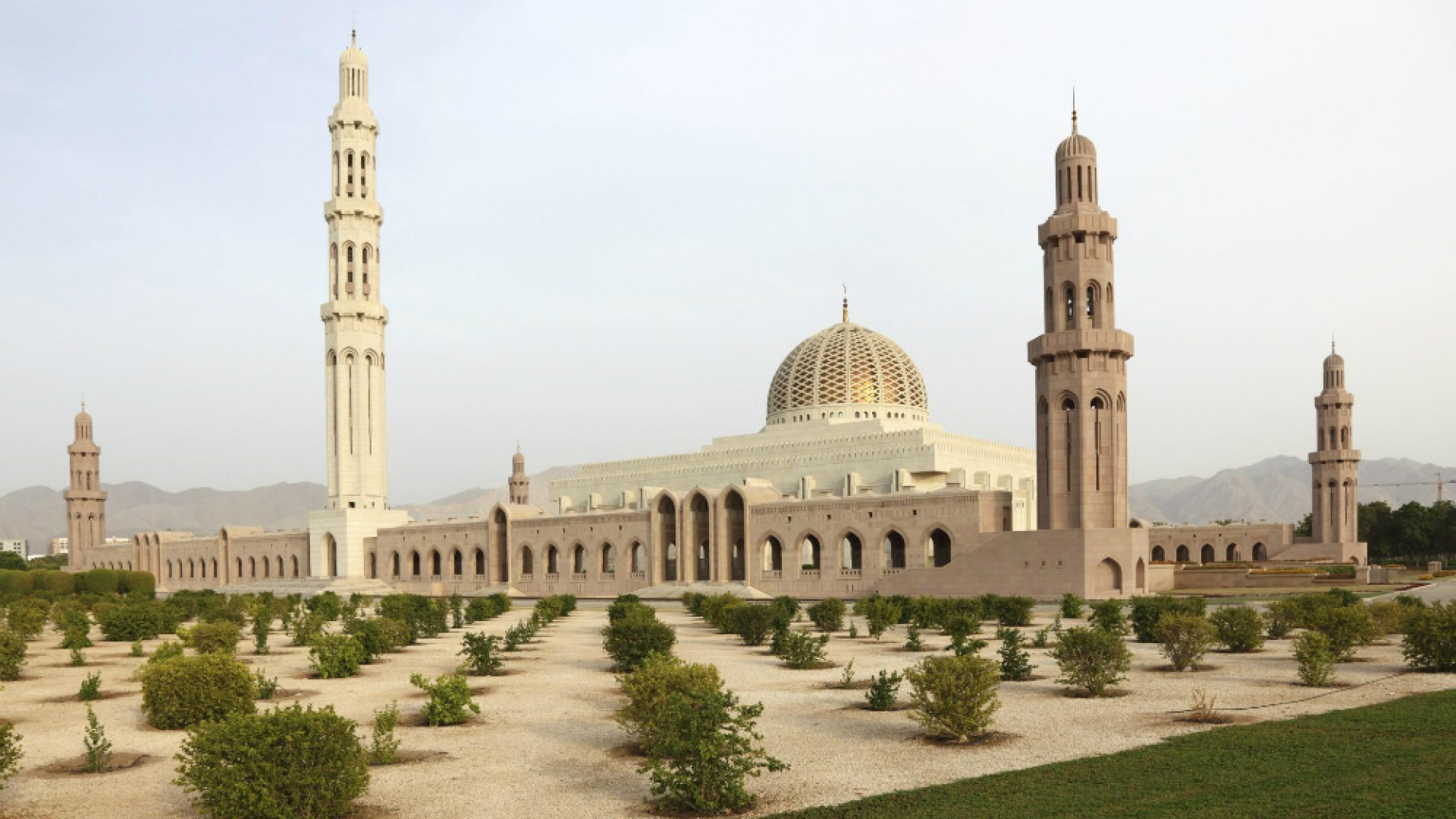 Immagine di Il Sultanato dell’Oman incontra il pubblico cremonese