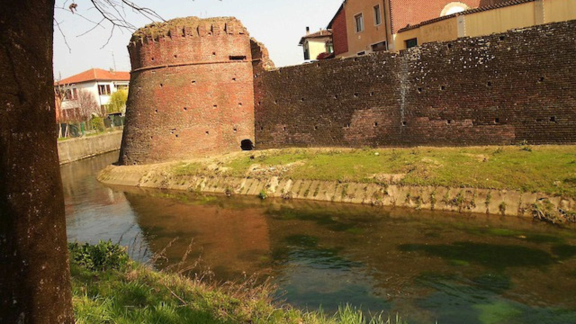 Immagine di A Soncino il mistero del verde scomparso lungo il naviglio