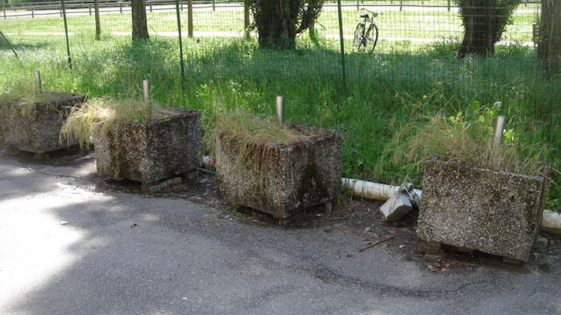 Immagine di Parcheggi, sicurezza e decoro, quelle richieste rimaste inascoltate
