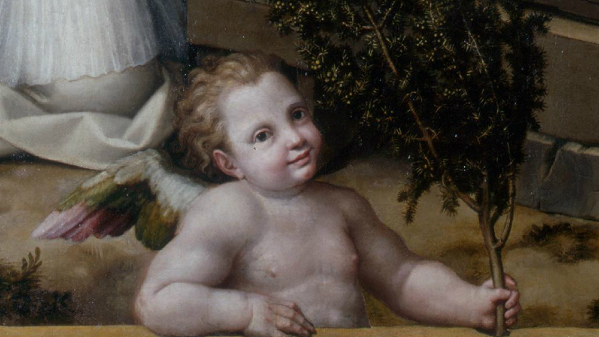 Immagine di Colombino Rapari-Arti figurative e inquietudini religiose a Cremona, nel Cinquecento