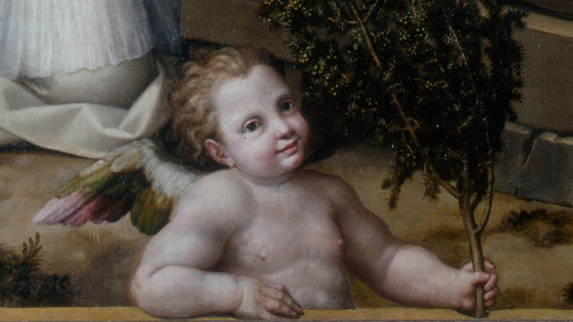 Immagine di Sulle tracce dell’abate Rapari