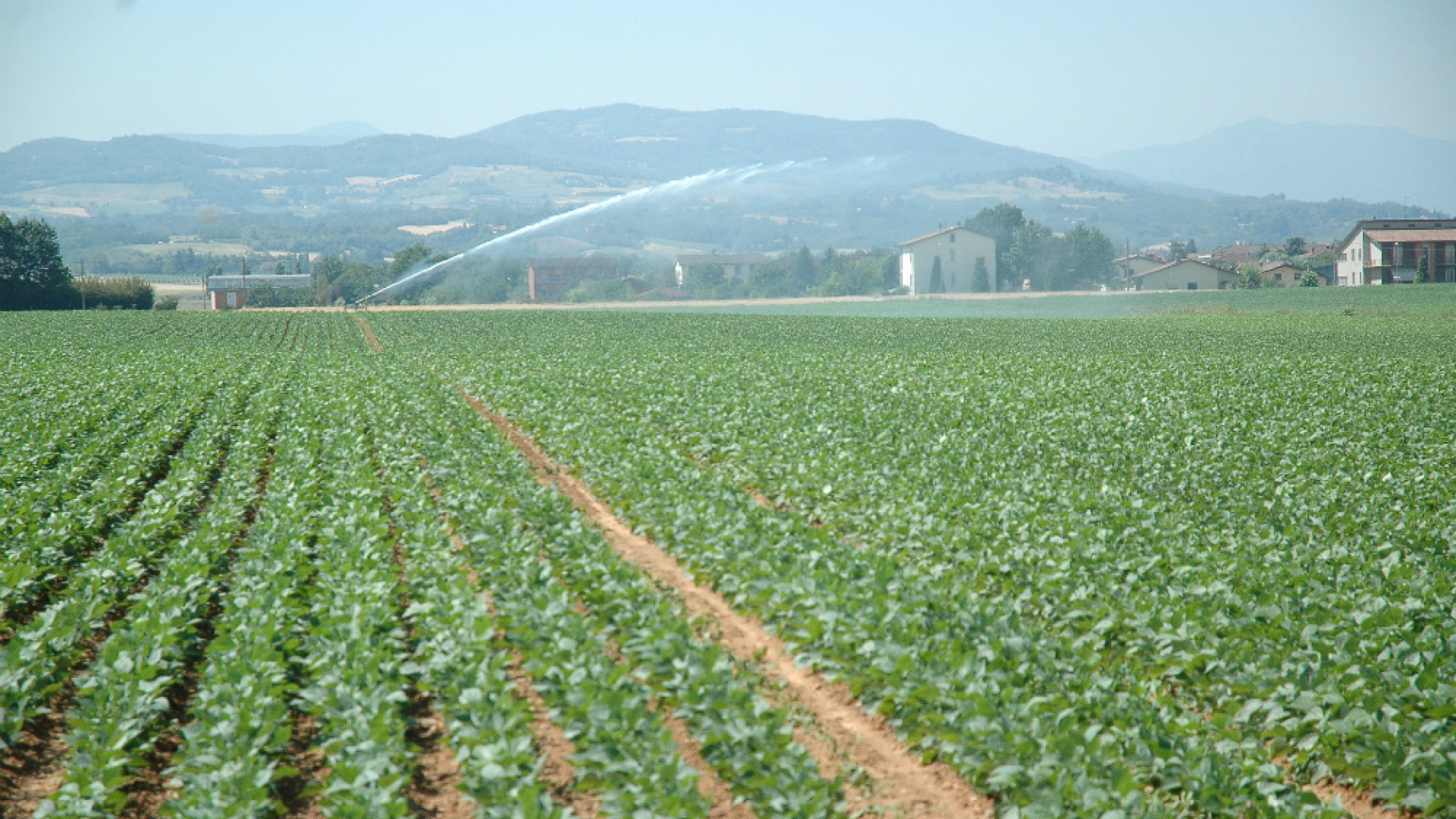 Immagine di E' iniziata la stagione irrigua, attenzione ai getti d'acqua vicino alle linee elettriche