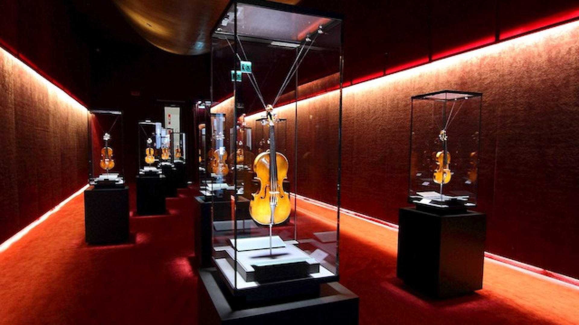 Immagine di Giovedì d'estate al Museo del Violino