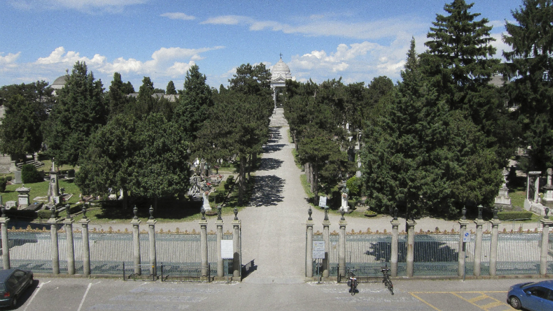 Immagine di Piantine di cannabis al Cimitero di Cremona