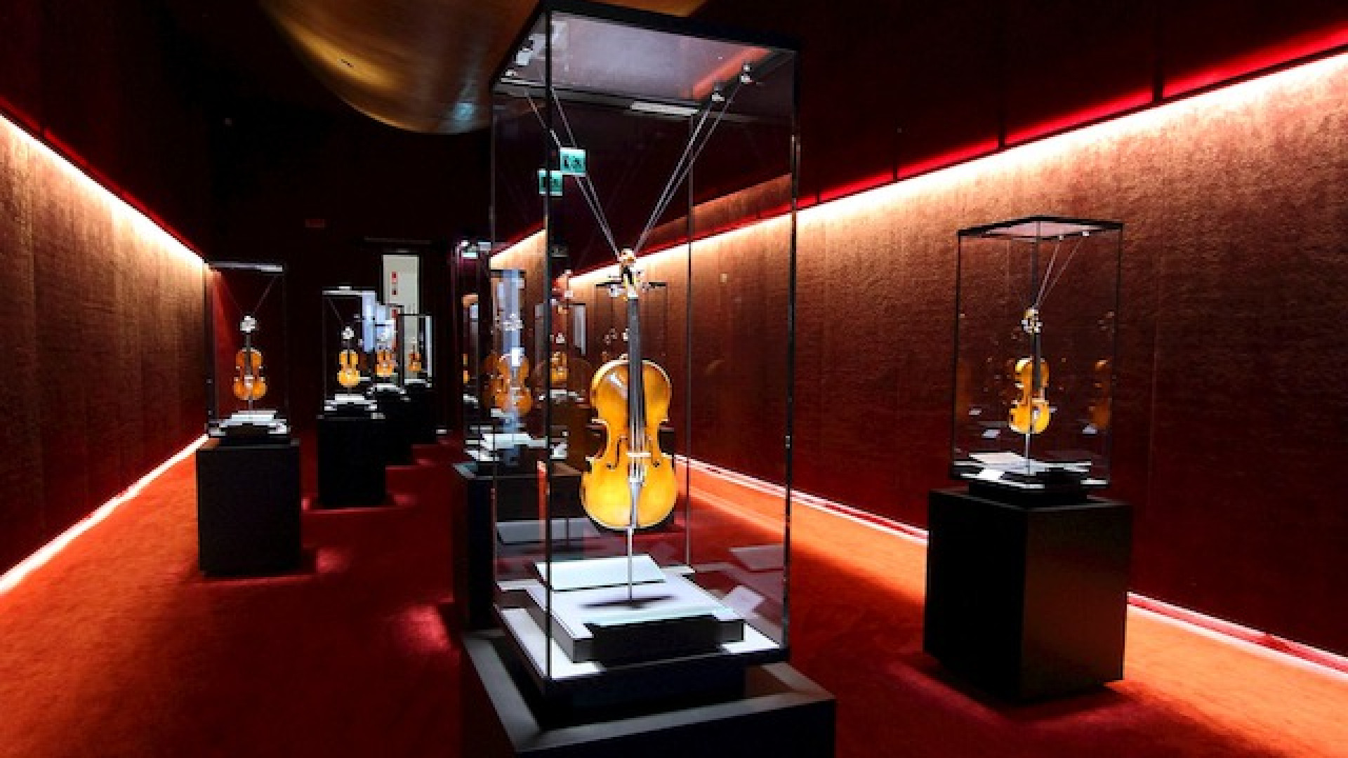 Immagine di Il Museo del Violino compie un anno