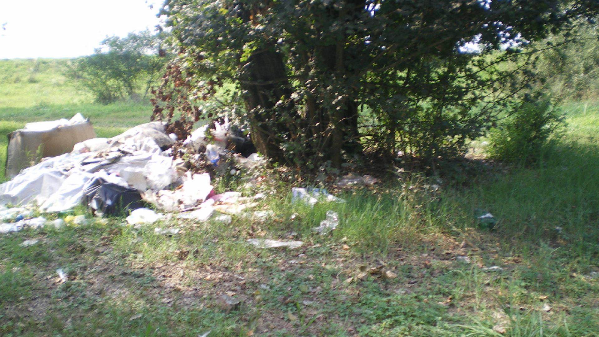 Immagine di Il degrado avanza dove c'è l'indifferenza