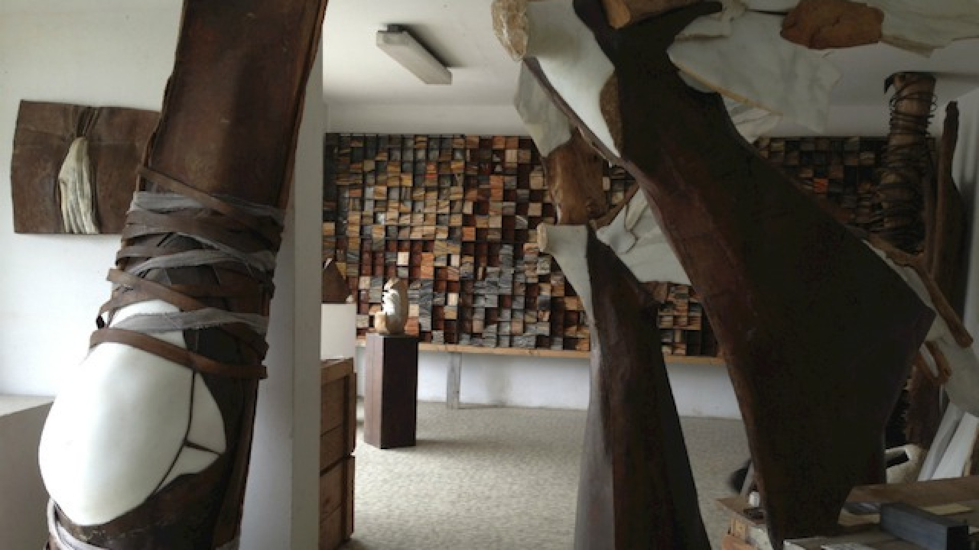 Immagine di Casalmaggiore dà l’esempio