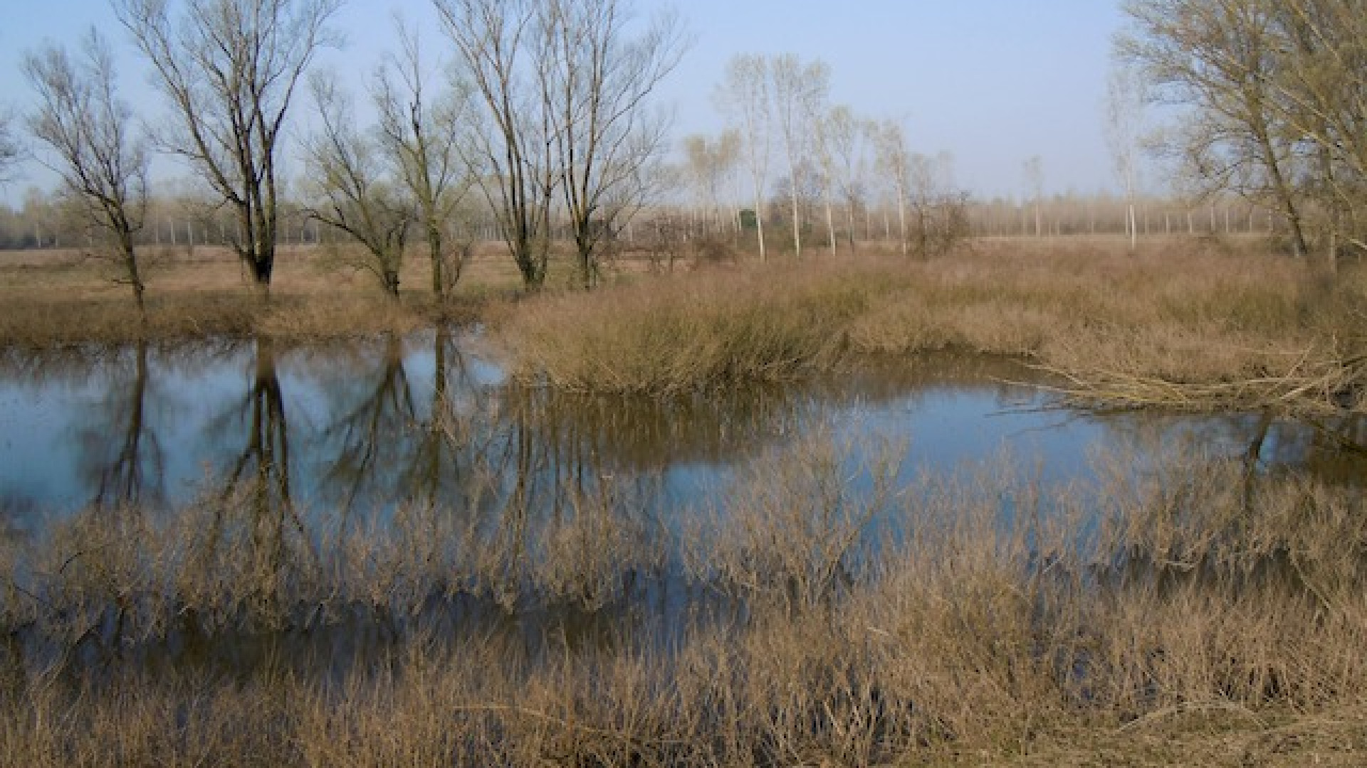 Immagine di Scolaresche al Parco, la visita si paga per intero