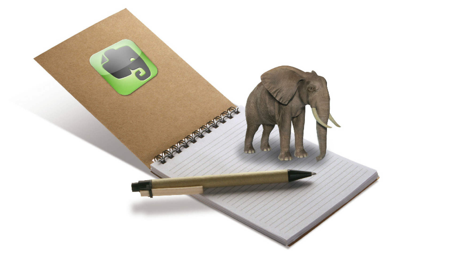Immagine di L'elefante che prende nota