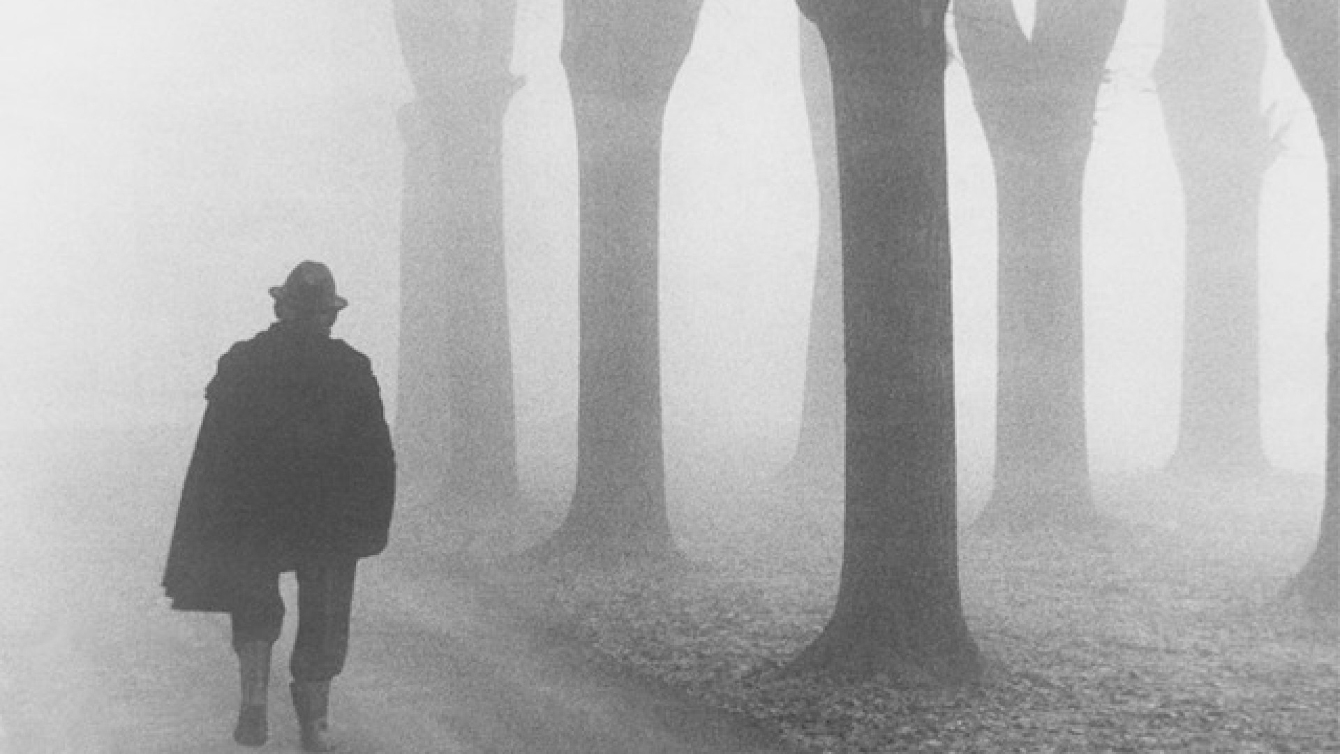 Immagine di Una poesia quotidiana. L’arte di Luigi Briselli