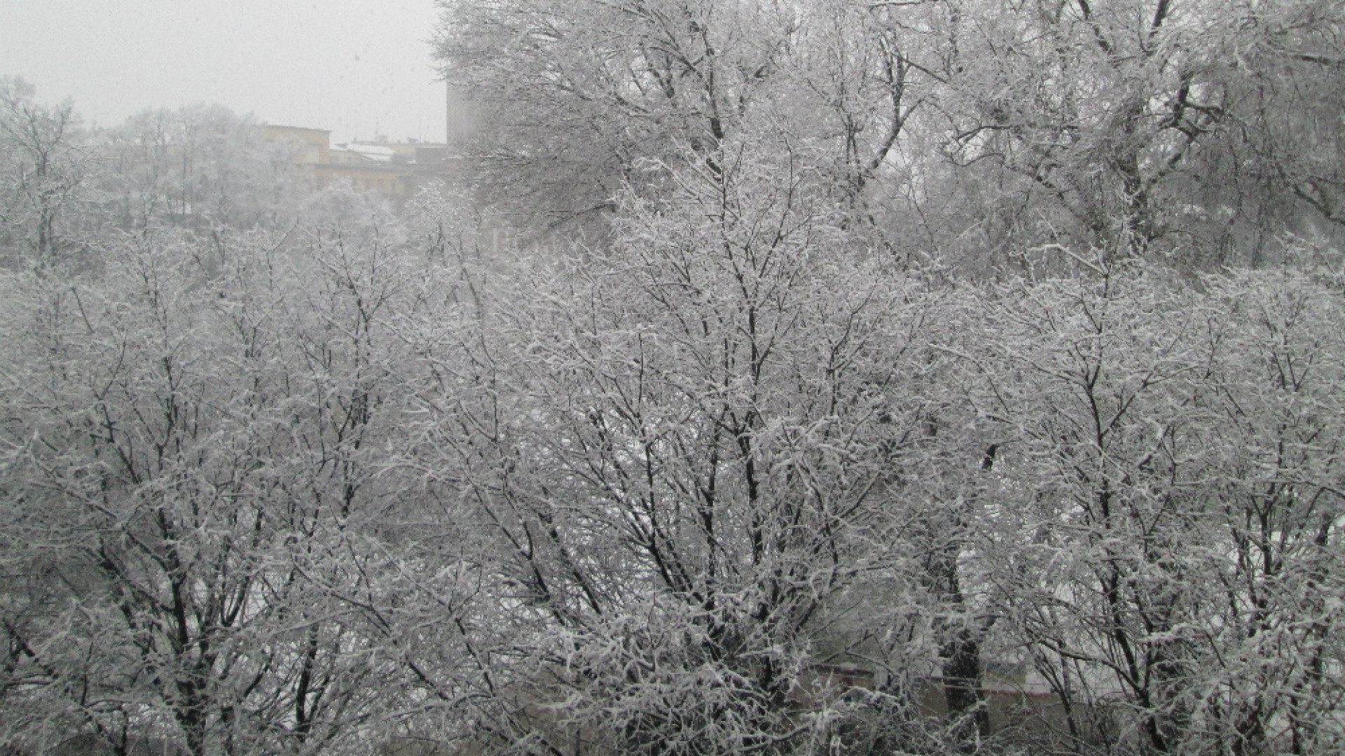 Immagine di Temperature in netta diminuzione, gelo e prima neve in arrivo