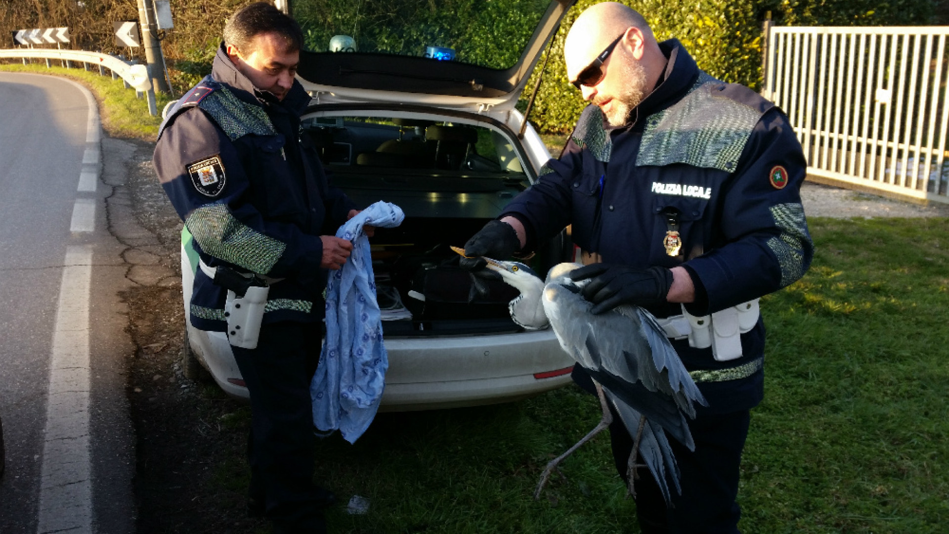 Immagine di Polizia Locale, inizio d'anno di intensa attività