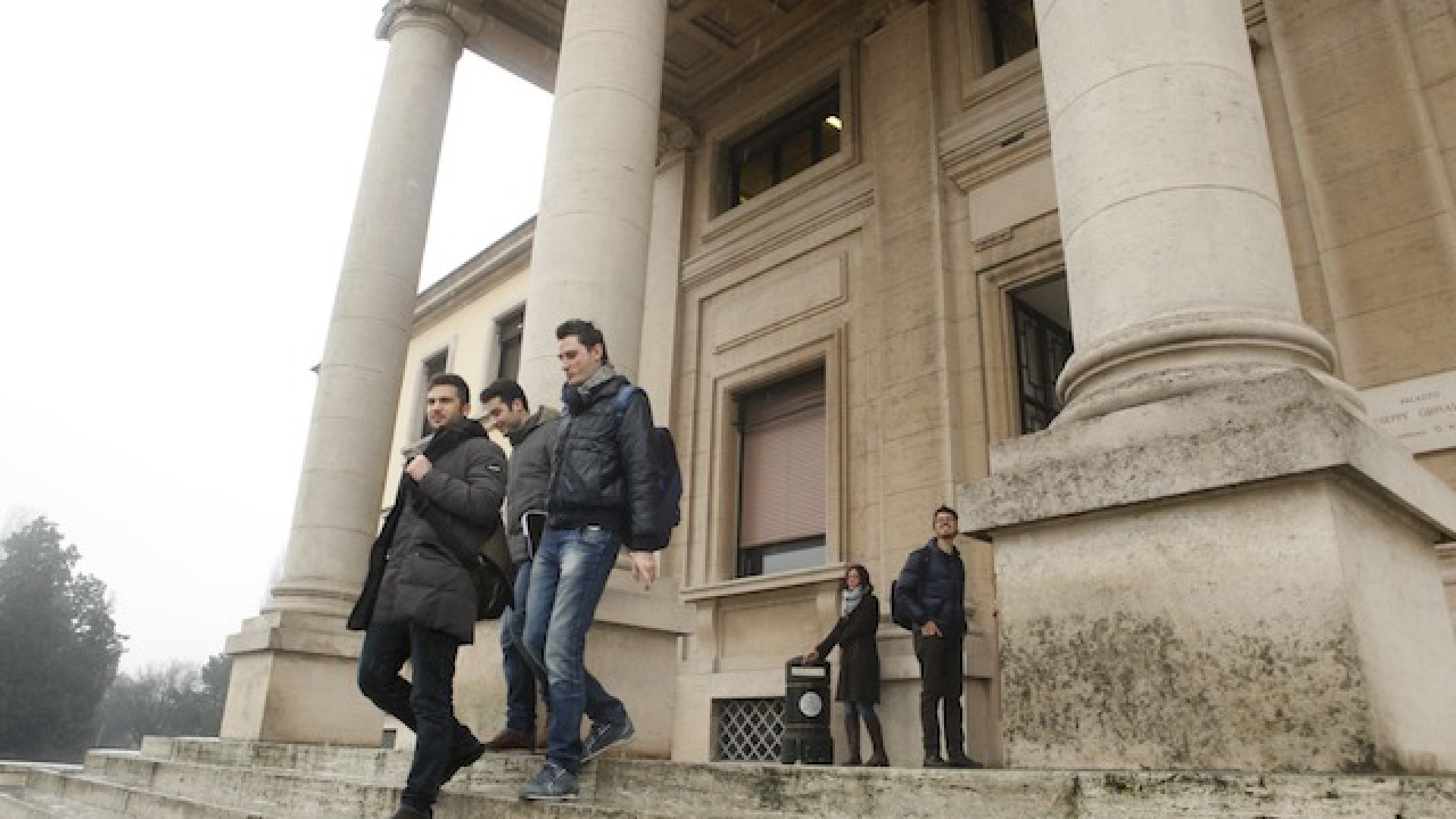 Immagine di Università in chiaroscuro